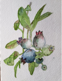 paint natures palette blueberries