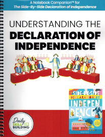 understanding the declaration