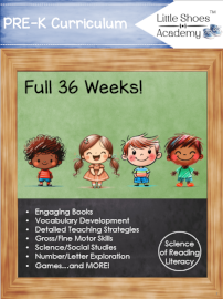 Little Shoes Academy PreK & K