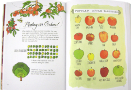 farm anatomy apples