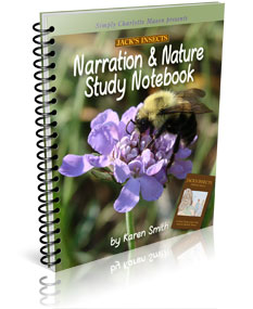 jacks insects notebook
