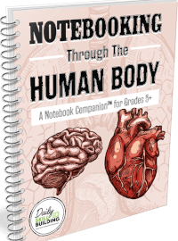 notebooking through the human body