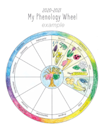 raising wild things phenology chart